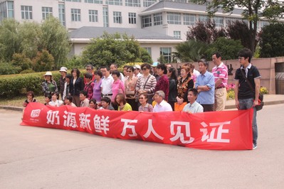 市民參觀衛(wèi)崗牧場(chǎng)，見證奶源新鮮