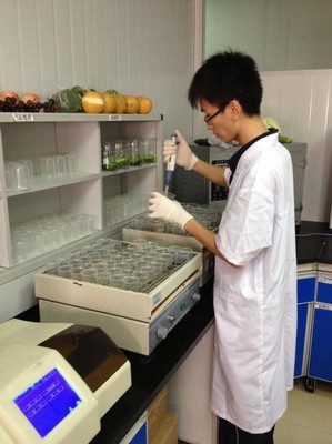 沃爾瑪生鮮配送中心的工作人員正在做農(nóng)藥殘留檢測(cè)。
