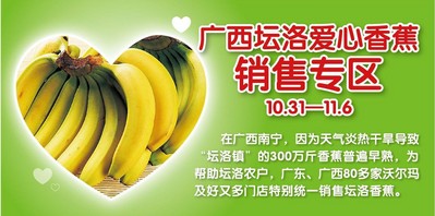 廣東、廣西80多家沃爾瑪門店正銷售廣西壇洛<br />由于早熟而引起的滯銷香蕉。